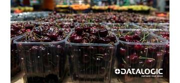 Cerima Cherries invests in custom machinery with state-of-the-art technology