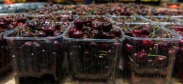 Cerima Cherries investe in macchinari personalizzati 